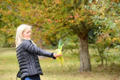 DSC_0504 (Large).JPG